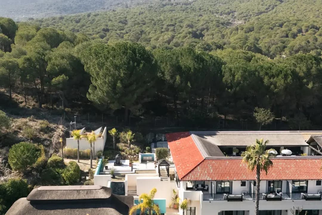 Aerial view of Shanti-Som Marbella among pine trees with the mountains behind