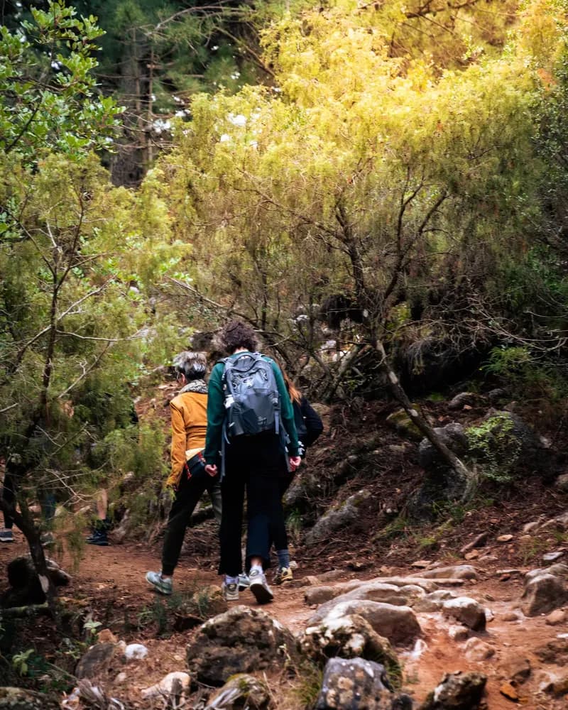 Guests on a guided hike along a forest trail near Shanti-Som Marbella