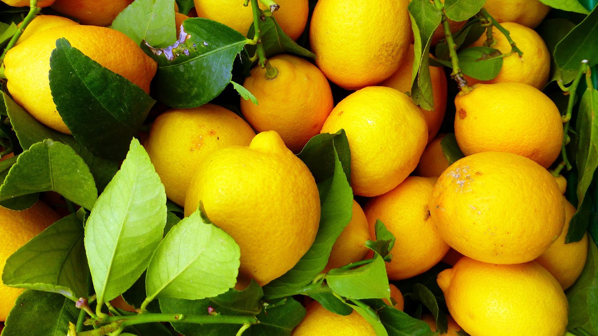 Shanti-Som Wellbeing Retreat Fruit Lemon Detox